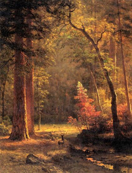 Albert Bierstadt Dogwood by Albert Bierstadt Norge oil painting art